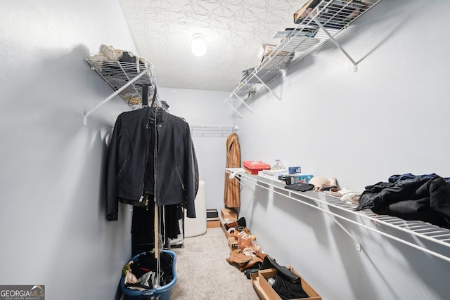 spacious closet with carpet