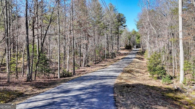 Listing photo 2 for LOT8,10 Hawks Nest, Blairsville GA 30512