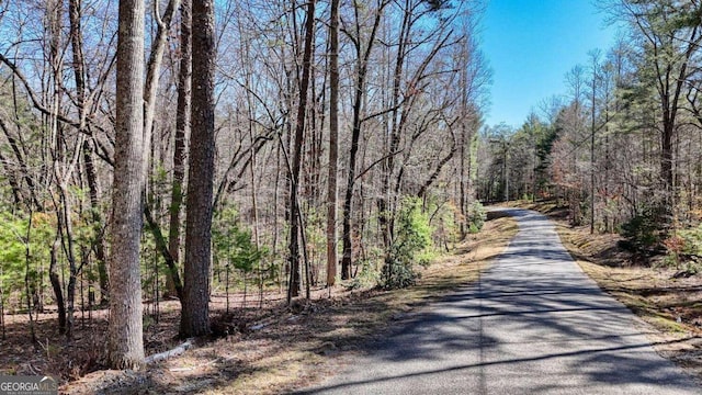 Listing photo 3 for LOT8,10 Hawks Nest, Blairsville GA 30512