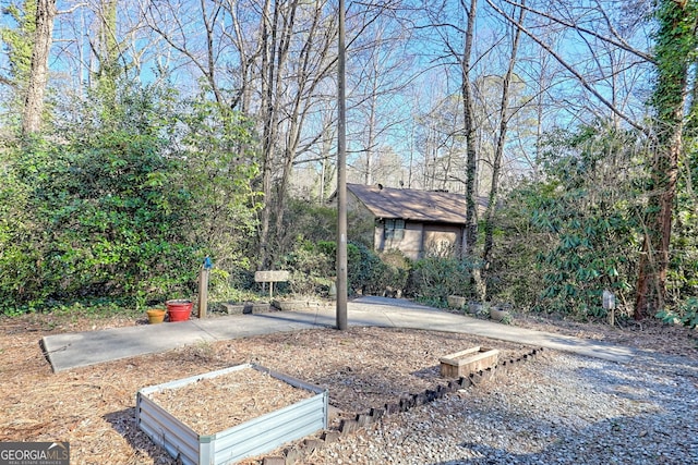 view of yard with a garden