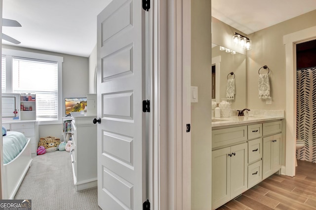 bathroom featuring wood finished floors and vanity