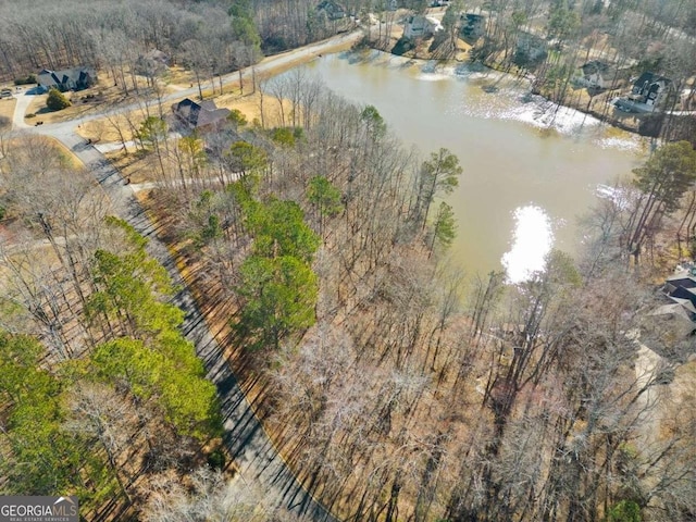 36 Caspian Ct, Whitesburg GA, 30185 land for sale