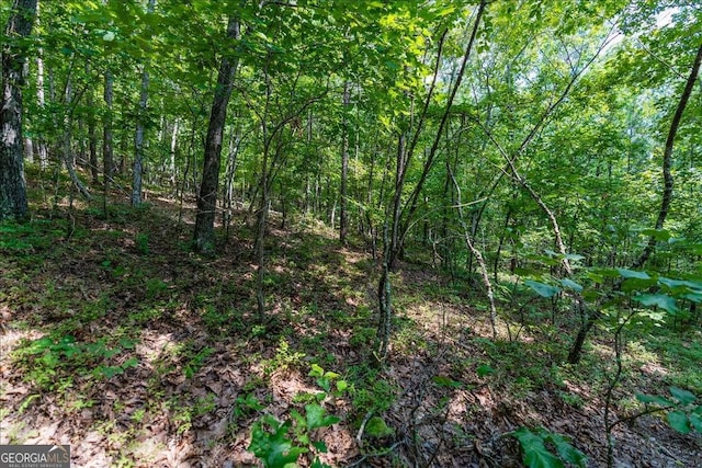 0 E Hermitage Rd # 6, Rome, GA 30161