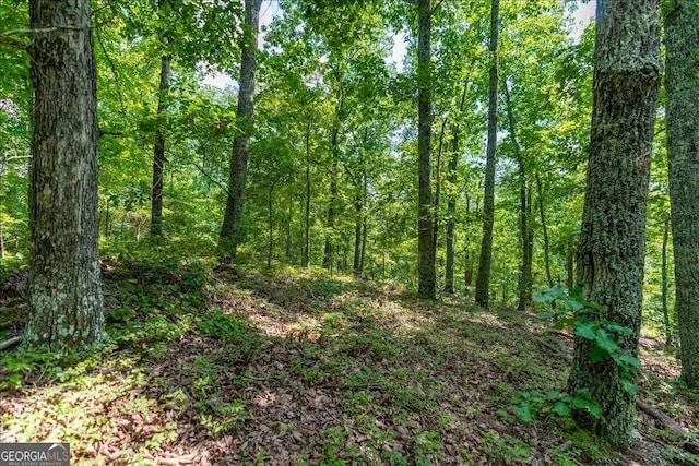 0 E Hermitage Rd # 6, Rome, GA 30161
