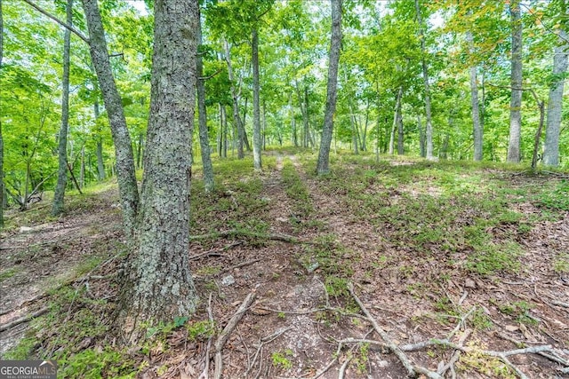 0 E Hermitage Rd # 6, Rome, GA 30161