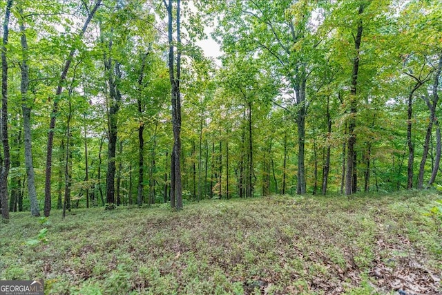 0 E Hermitage Rd # 6, Rome, GA 30161
