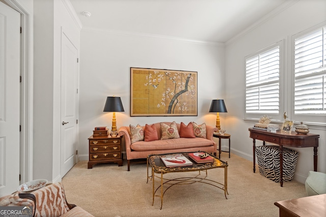 living room with carpet, crown molding, and baseboards