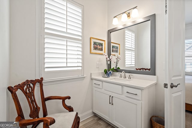 bathroom with baseboards, wood finished floors, vanity, and a healthy amount of sunlight