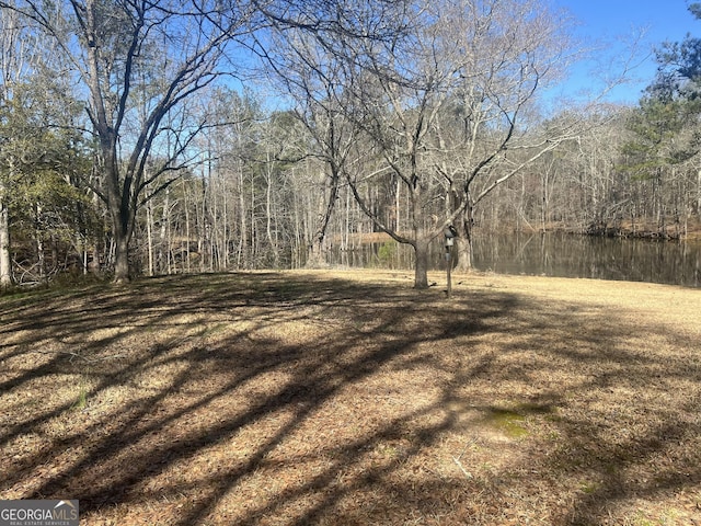 view of yard featuring a water view and a wooded view