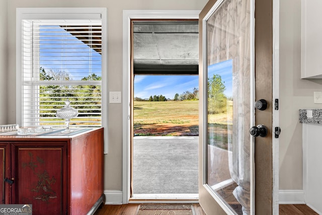 doorway to outside with wood finished floors, a wealth of natural light, and baseboards