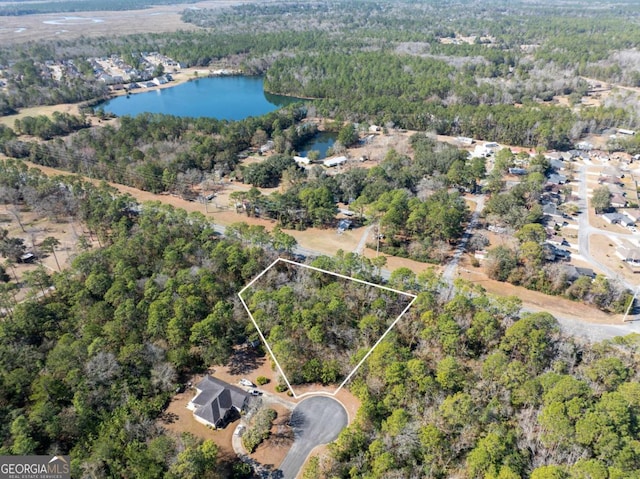 100 Bluebill Trl, Brunswick GA, 31523 land for sale