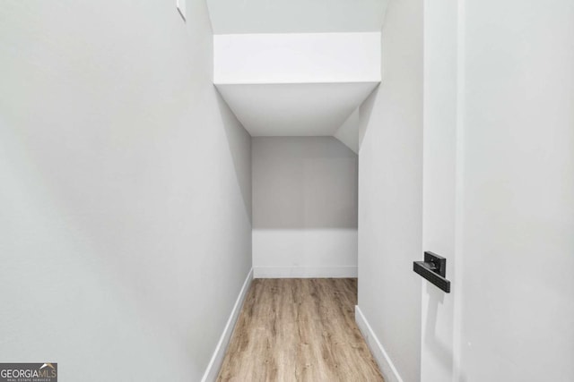 walk in closet featuring light wood finished floors