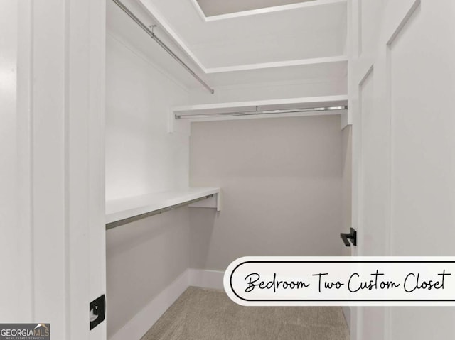 spacious closet with carpet