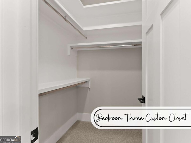 walk in closet with carpet floors