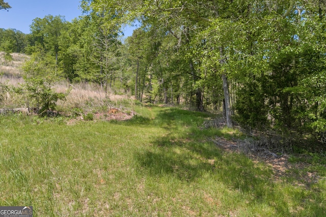 1745 Hannah Creek Church Rd, Royston, GA 30662