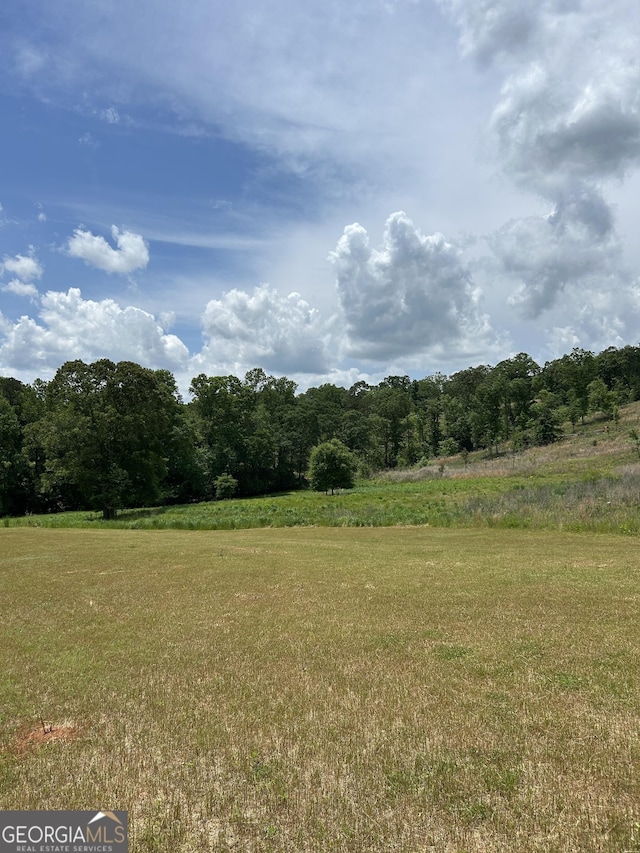 1745 Hannah Creek Church Rd, Royston, GA 30662