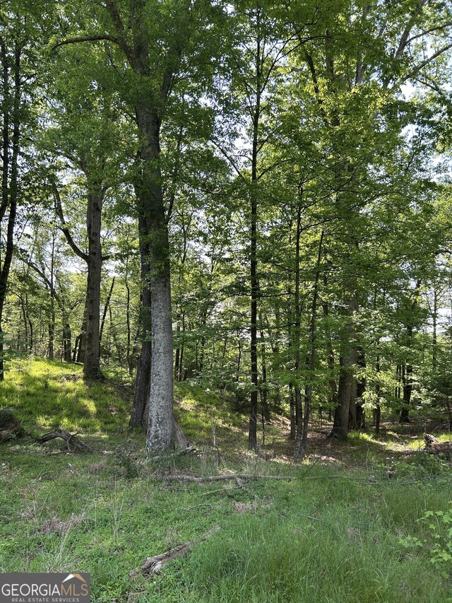 1745 Hannah Creek Church Rd, Royston, GA 30662