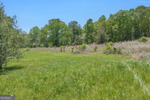 1745 Hannah Creek Church Rd, Royston, GA 30662