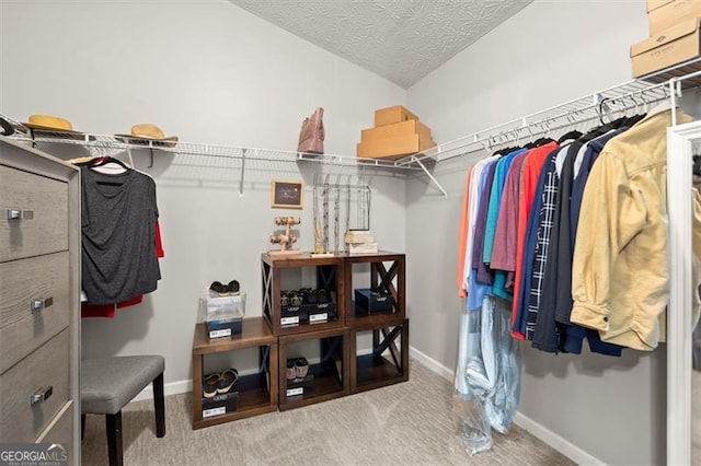 walk in closet featuring carpet