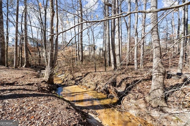 view of local wilderness