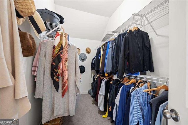 spacious closet featuring carpet flooring