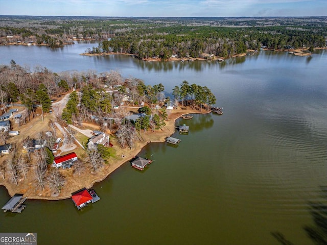 bird's eye view featuring a water view and a view of trees