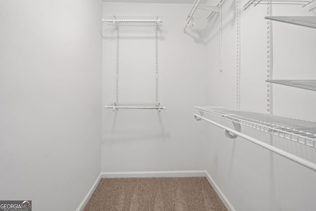 walk in closet featuring carpet flooring