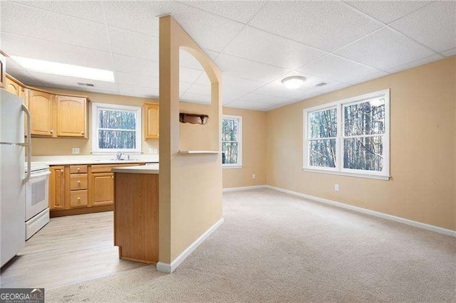 kitchen featuring a paneled ceiling, light colored carpet, white appliances, baseboards, and light countertops