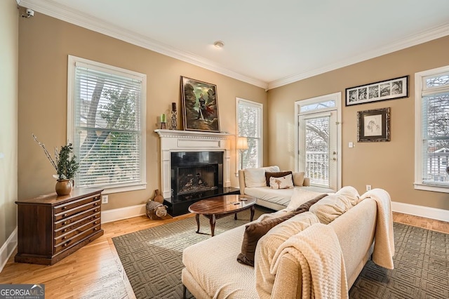 397 4th St NE, Atlanta, GA 30308 - living room with crown molding, a fireplace with raised hearth, and wood finished floors