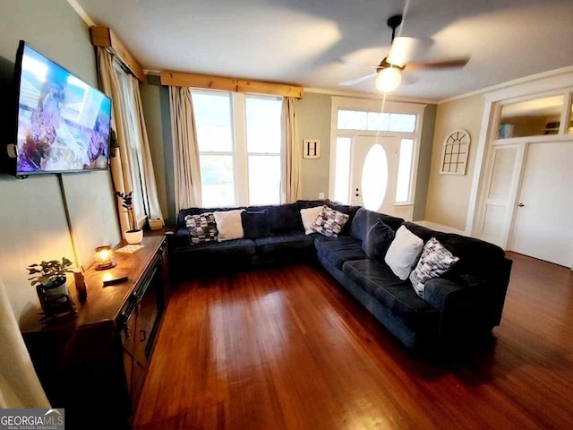 living area featuring ceiling fan, dark wood-type flooring, and crown molding