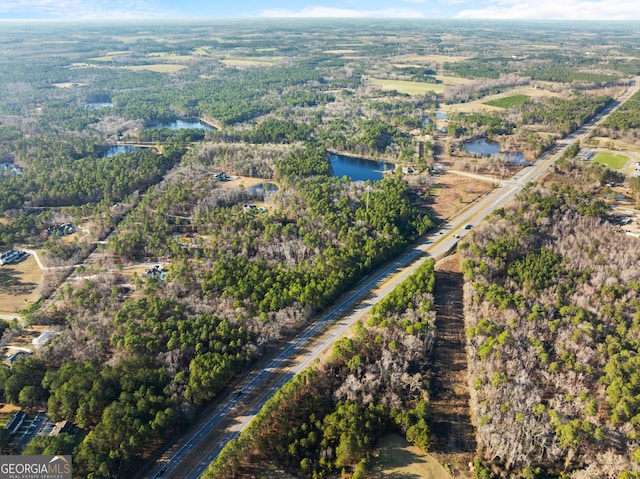 drone / aerial view with a water view and a view of trees