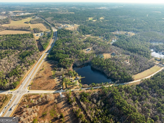 bird's eye view with a water view and a view of trees