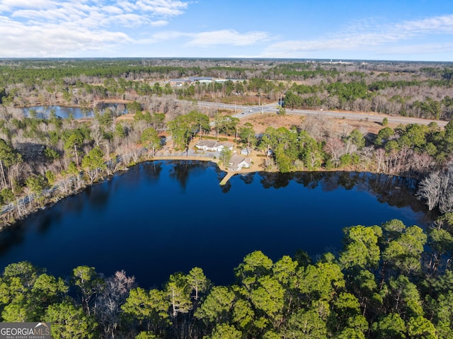 drone / aerial view with a water view and a forest view