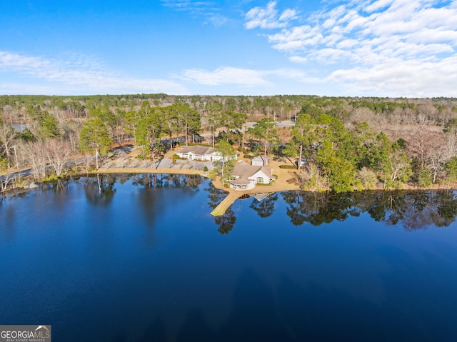 aerial view featuring a water view and a view of trees