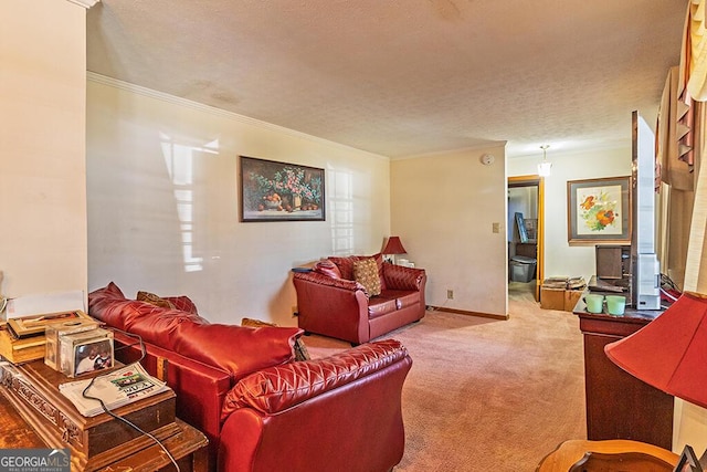 carpeted living room featuring crown molding, a textured ceiling, and baseboards