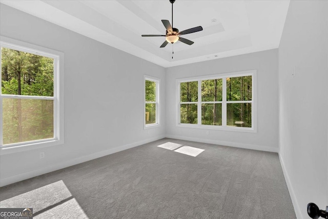 carpeted spare room featuring healthy amount of natural light and baseboards