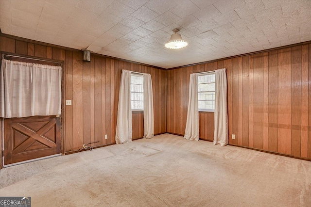 spare room featuring light colored carpet and wooden walls