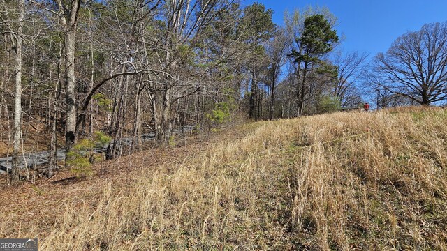 0 Snote Jones Rd, Dallas, GA 30132