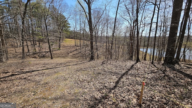 0 Snote Jones Rd, Dallas, GA 30132