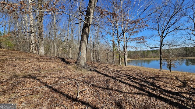 0 Snote Jones Rd, Dallas, GA 30132