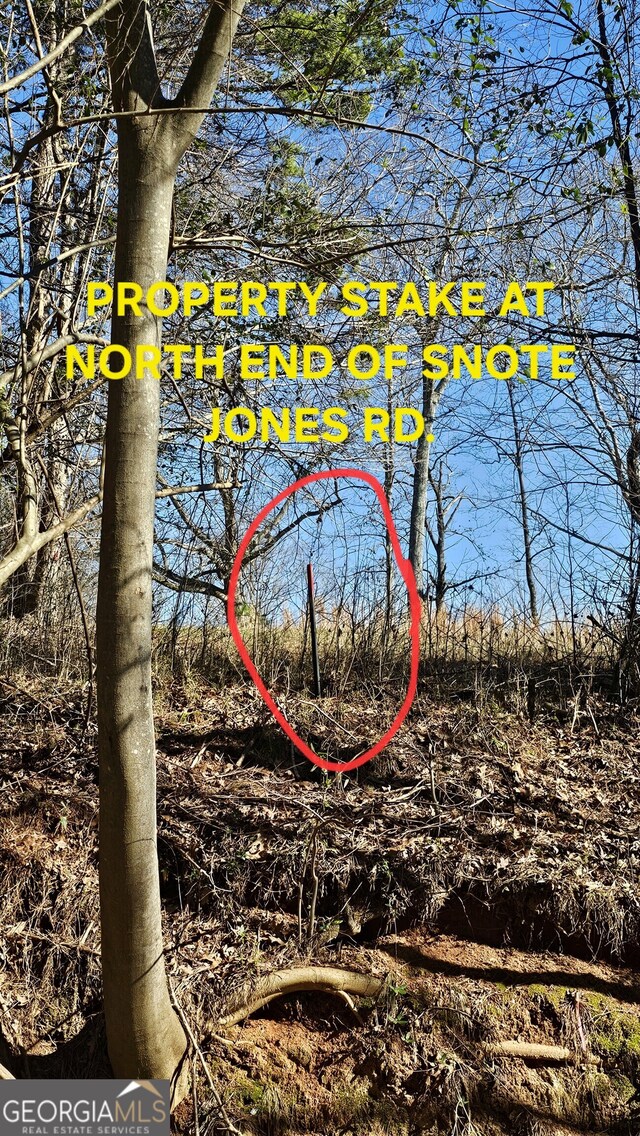 0 Snote Jones Rd, Dallas, GA 30132