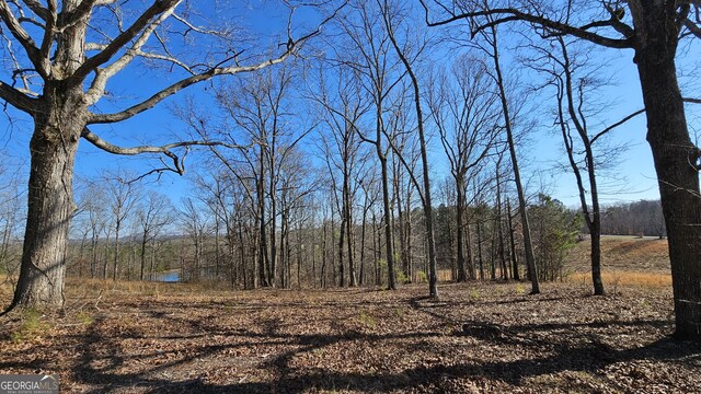 0 Snote Jones Rd, Dallas, GA 30132