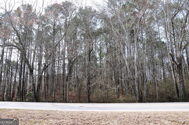 0 Monroe Hwy, Bethlehem GA, 30620 land for sale