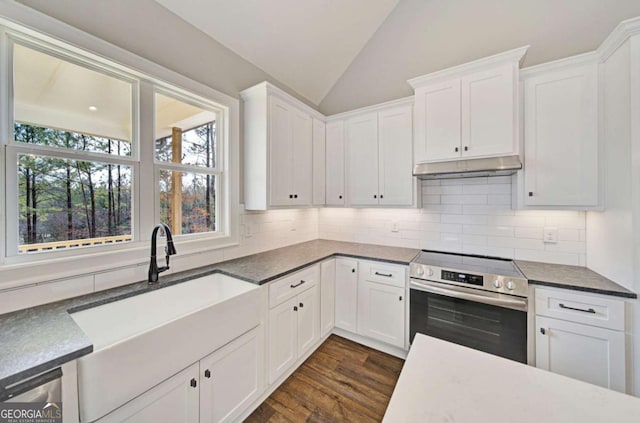 107 Bob White Dr, Calhoun, GA 30701 - kitchen with stainless steel electric range, under cabinet range hood, tasteful backsplash, lofted ceiling, and white cabinetry