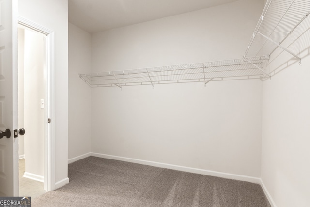 141 Roxeywood Way, Winder, GA 30680 - walk in closet with light carpet