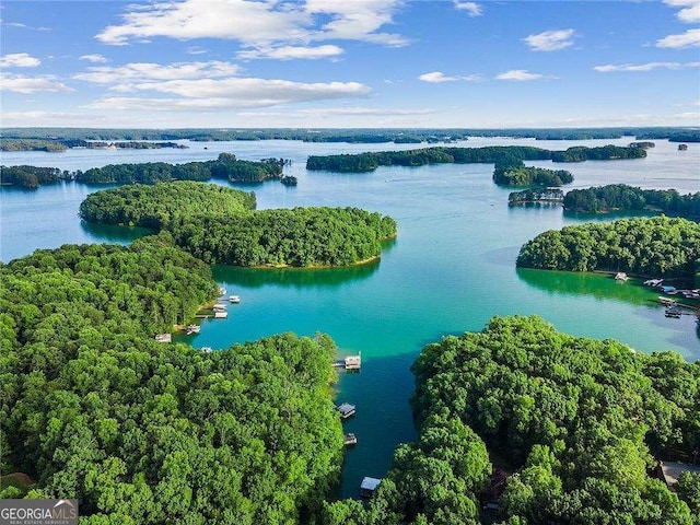 birds eye view of property with a forest view and a water view