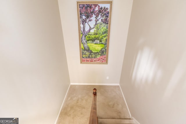 interior space with carpet and baseboards