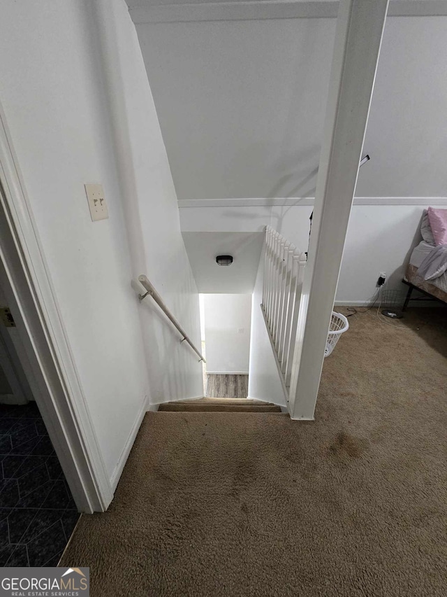 staircase featuring carpet