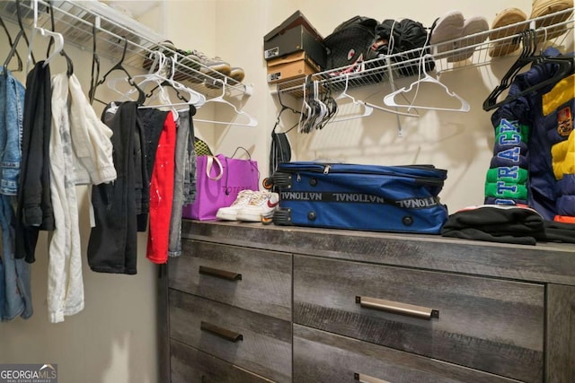 view of spacious closet