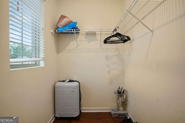 spacious closet with dark wood finished floors